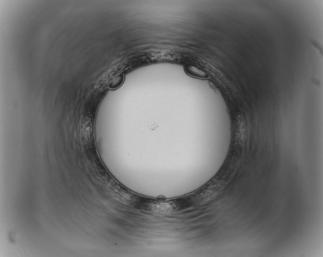 X0000102760513200809021010