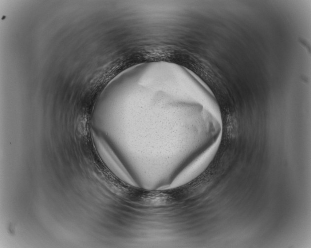 X0000102760514200809021010