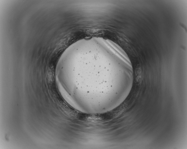 X0000102760515200809021010