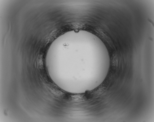 X0000102760516200809021010