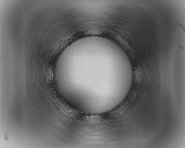 X0000102760517200809021010