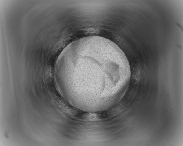 X0000102760518200809021010