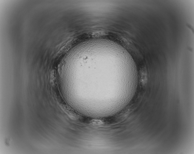 X0000102760519200809021010