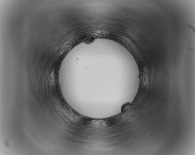 X0000102760520200809021010