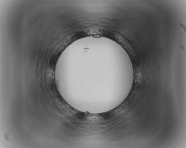 X0000102760521200809021010