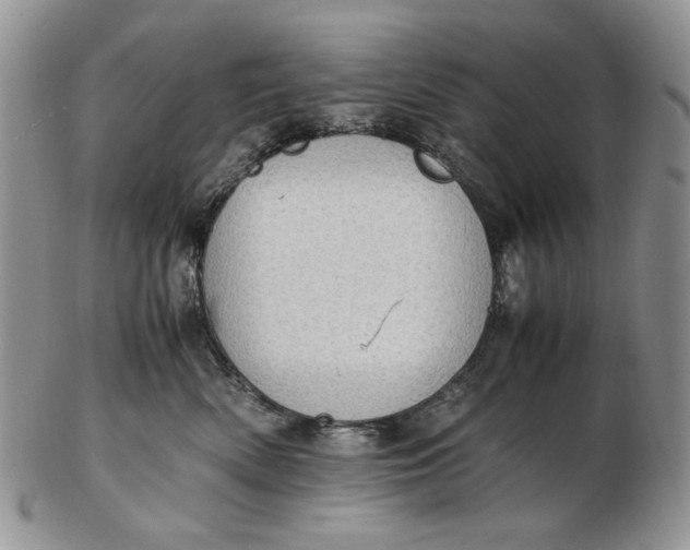 X0000102760522200809021010