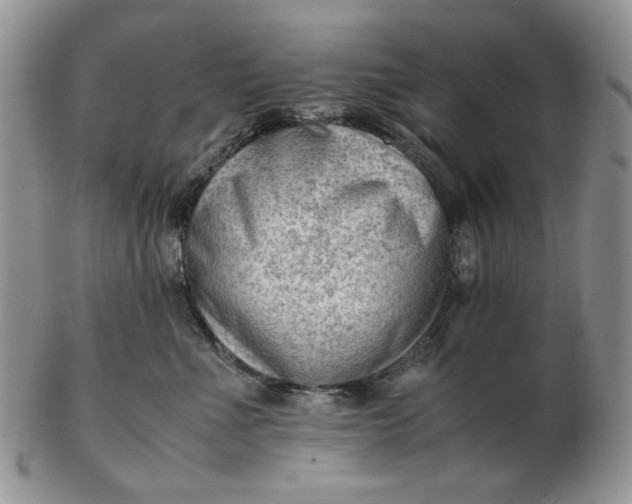 X0000102760523200809021010