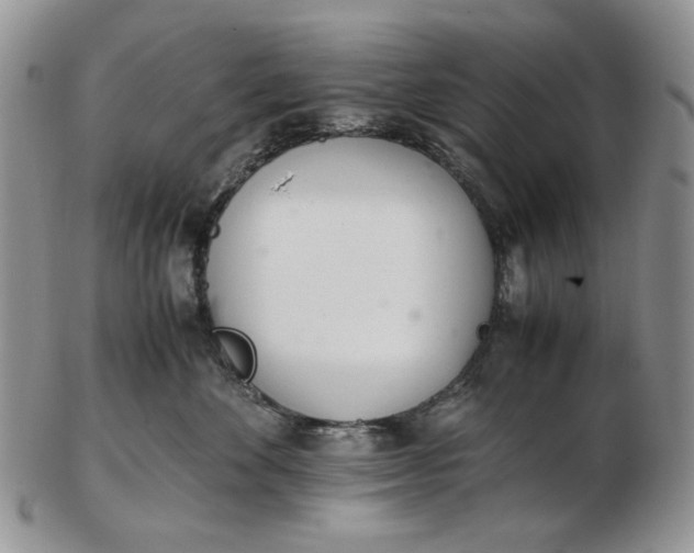 X0000102760524200809021010