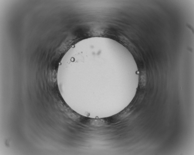 X0000102760525200809021010