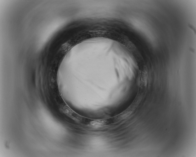 X0000102760526200809021010