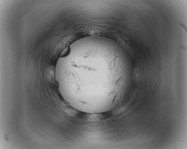 X0000102760527200809021010