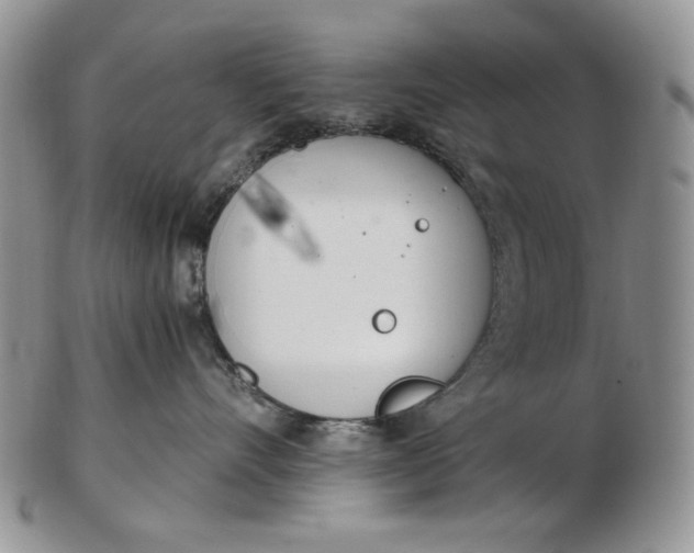 X0000102760528200809021010