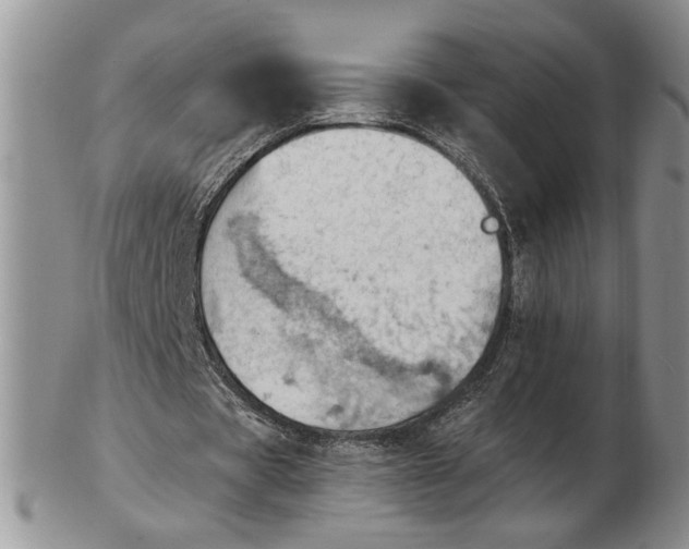 X0000102760529200809021009