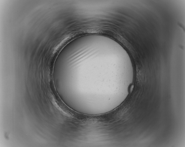 X0000102760530200809021009