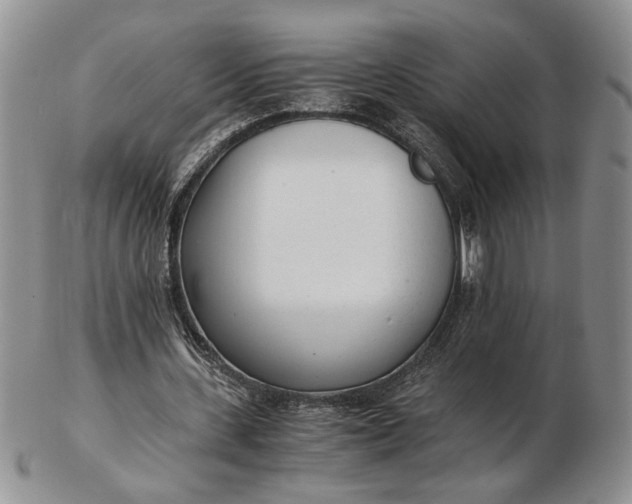 X0000102760531200809021009