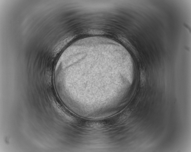 X0000102760533200809021009