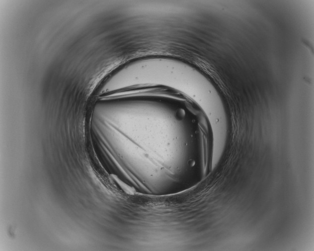 X0000102760534200809021009