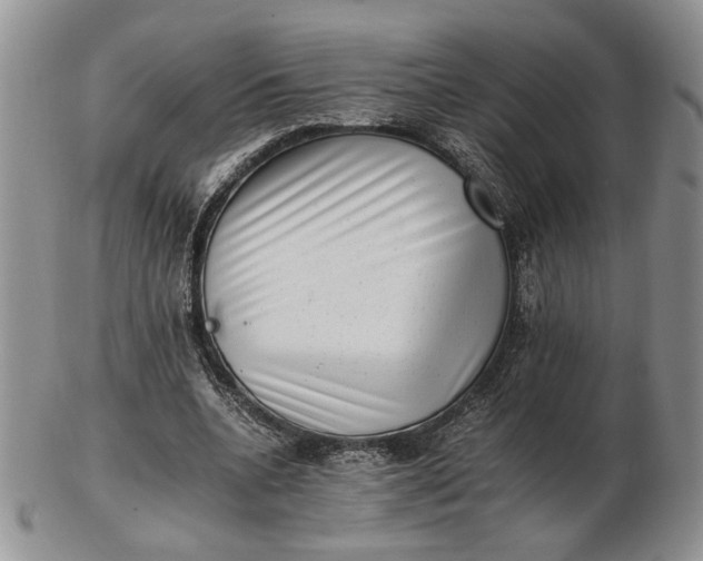 X0000102760536200809021009