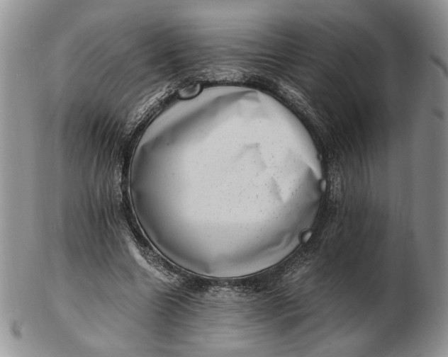 X0000102760538200809021009