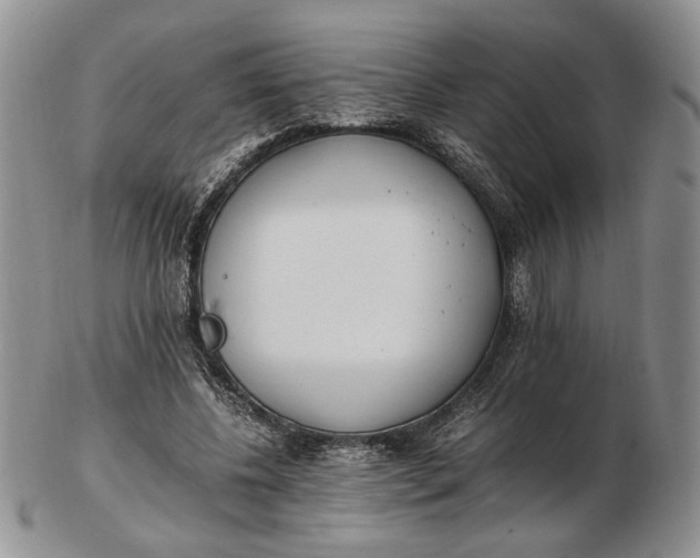 X0000102760540200809021009