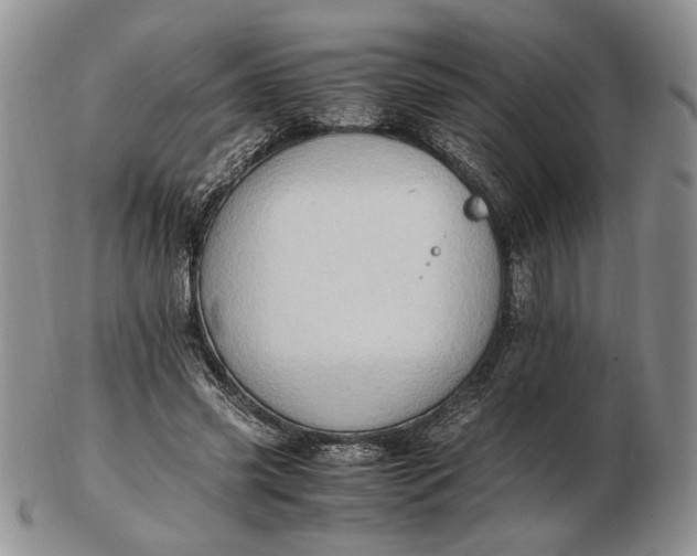 X0000102760541200809021009