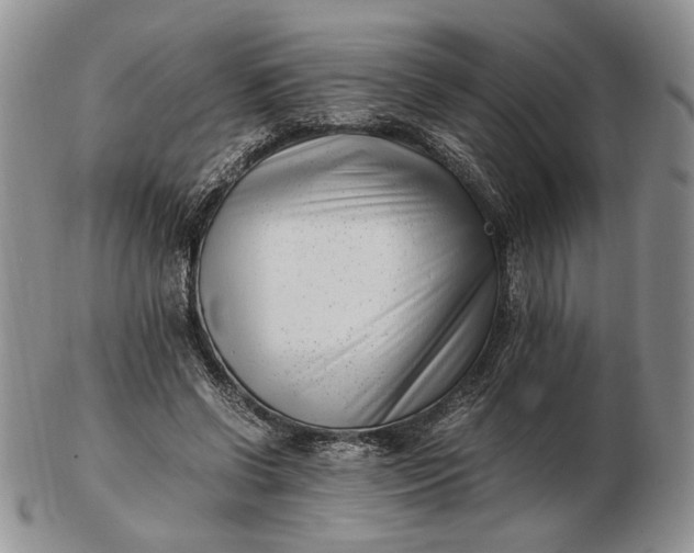 X0000102760542200809021009