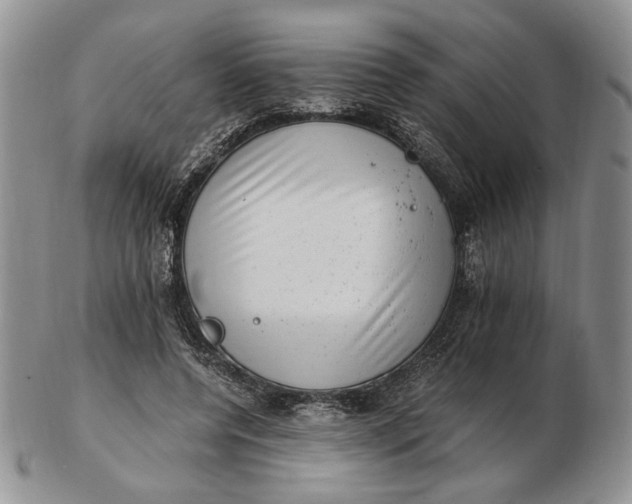 X0000102760544200809021009