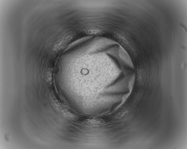 X0000102760545200809021009