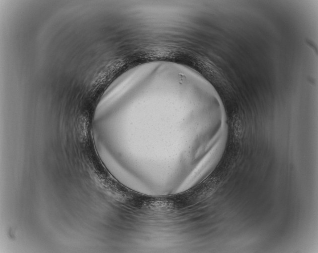 X0000102760546200809021009