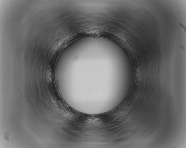 X0000102760547200809021009