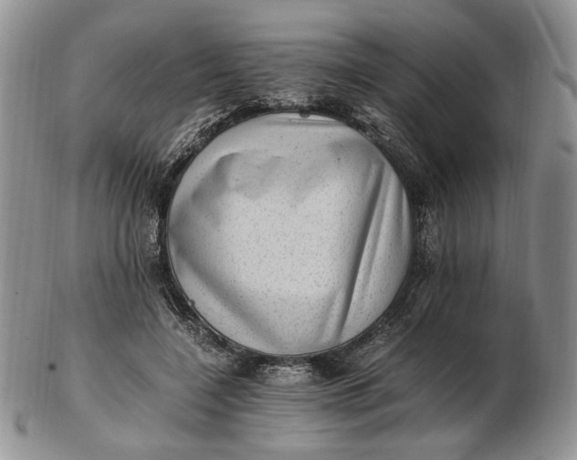 X0000102760548200809021009