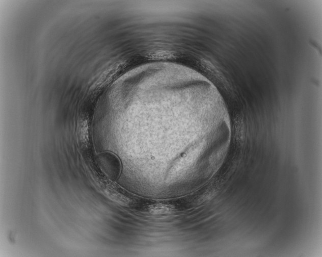 X0000102760549200809021009