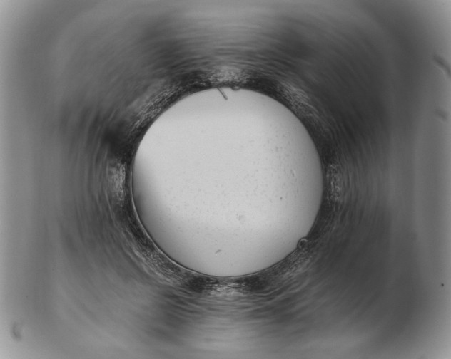 X0000102760550200809021009