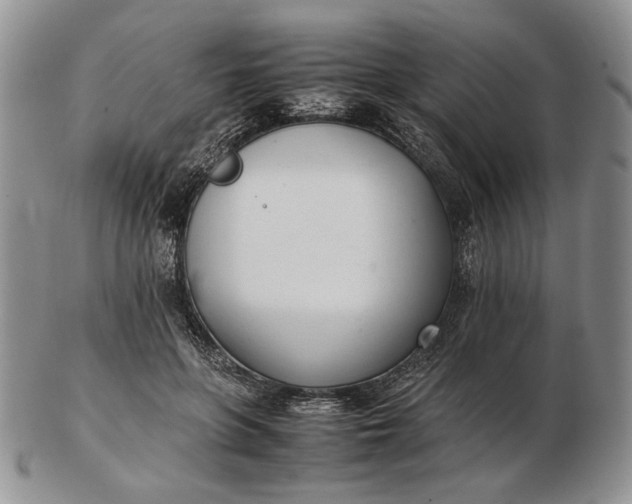 X0000102760551200809021009