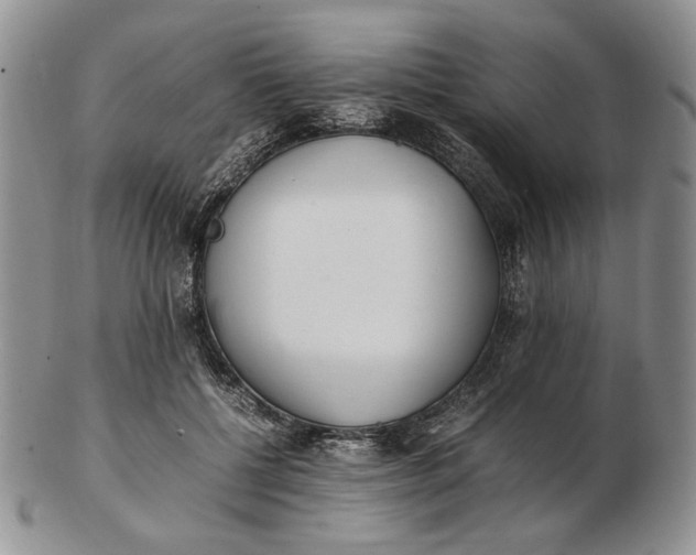 X0000102760552200809021009