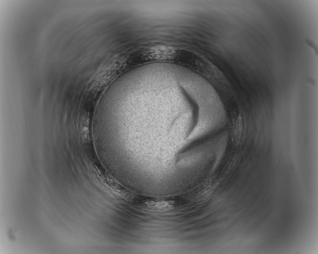 X0000102760553200809021009