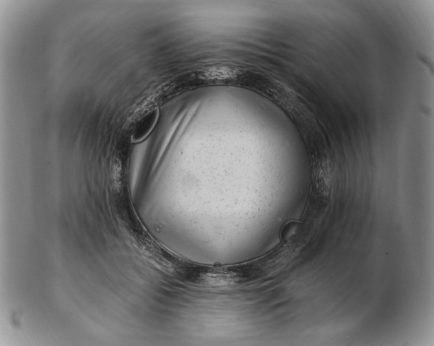 X0000102760556200809021009