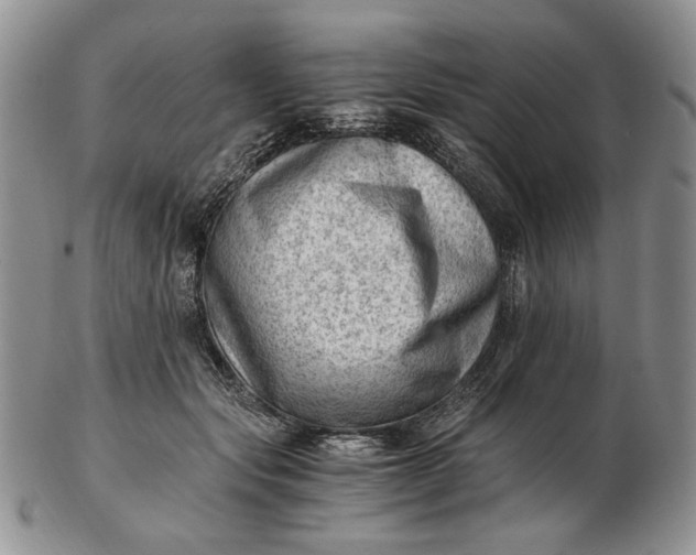 X0000102760557200809021009