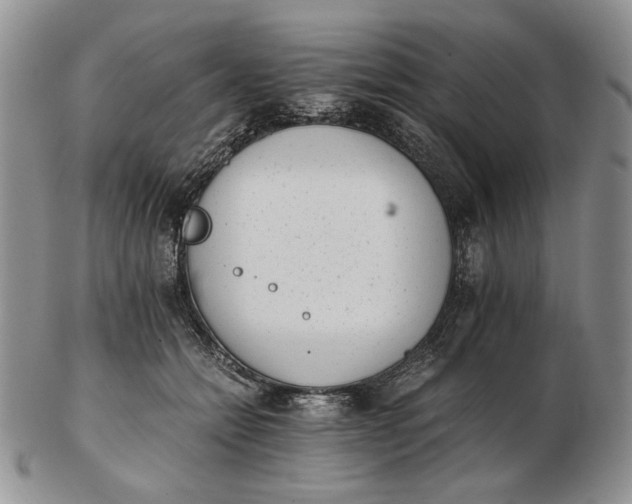 X0000102760558200809021009