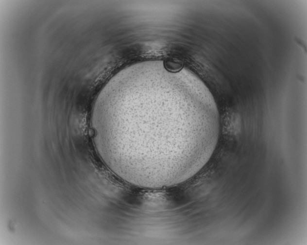 X0000102760560200809021010