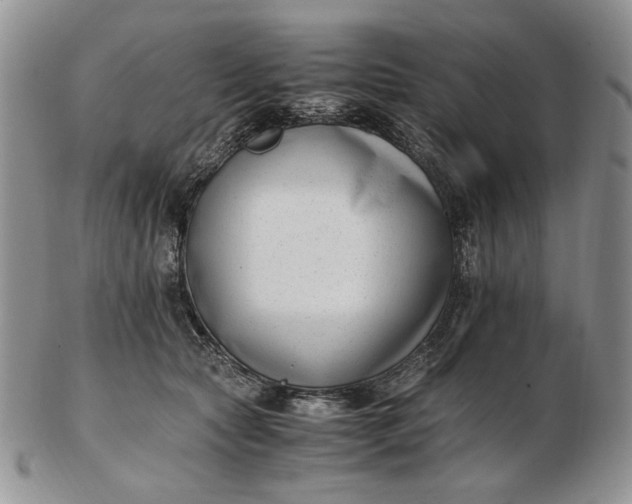 X0000102760561200809021010