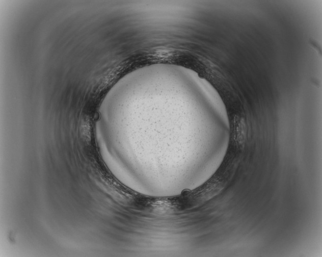 X0000102760562200809021010