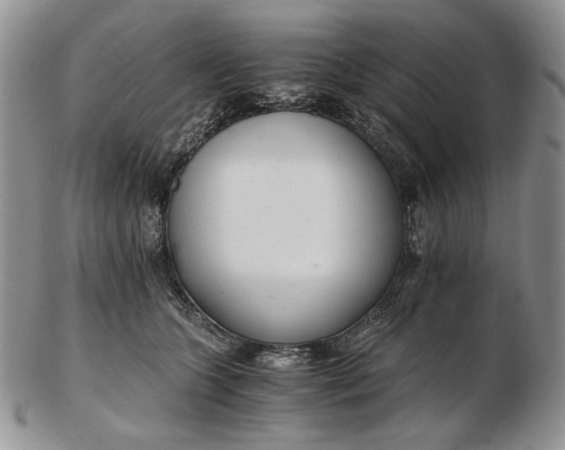 X0000102760563200809021010