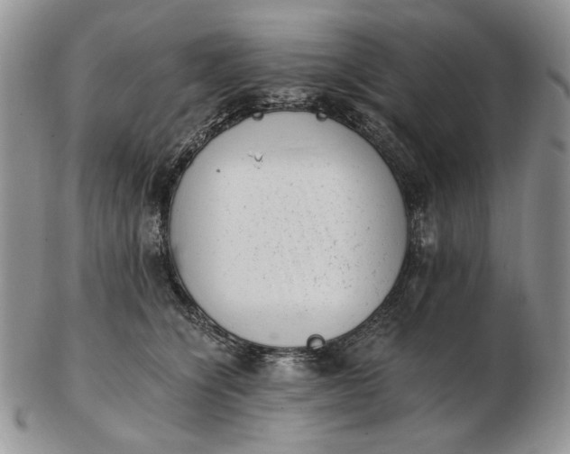 X0000102760564200809021010