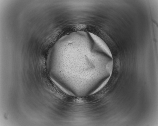 X0000102760565200809021010