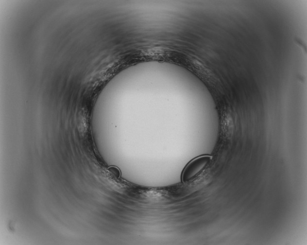 X0000102760566200809021010