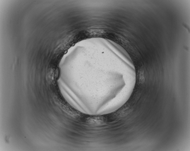 X0000102760567200809021010