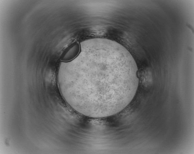 X0000102760568200809021010