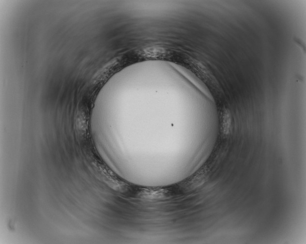 X0000102760569200809021010