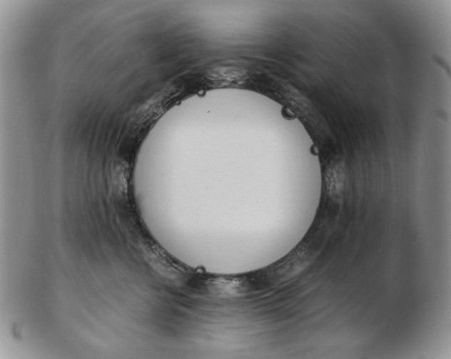 X0000102760570200809021010